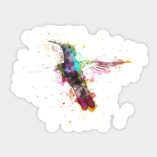 Hummingbird Sticker